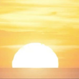 Meet your Posher, Scarlett